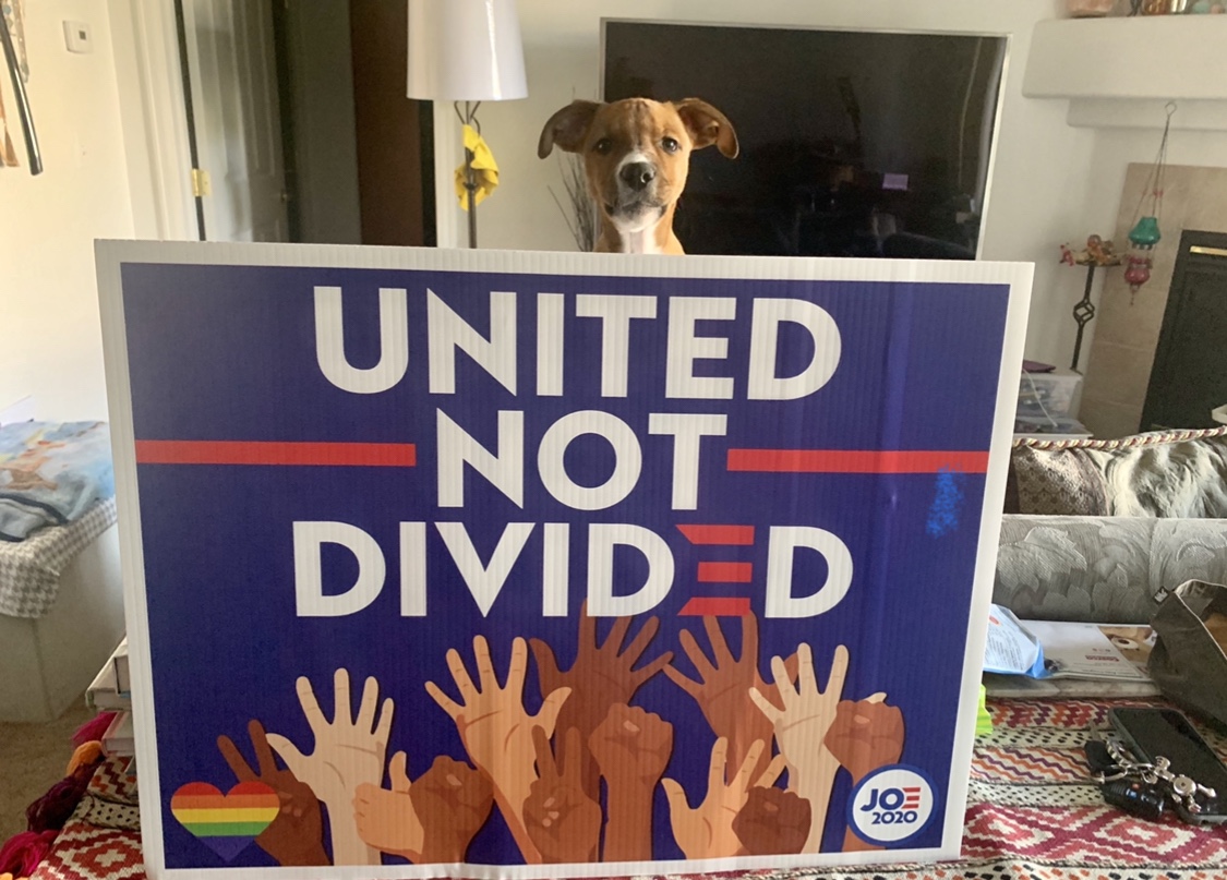 United not divided 