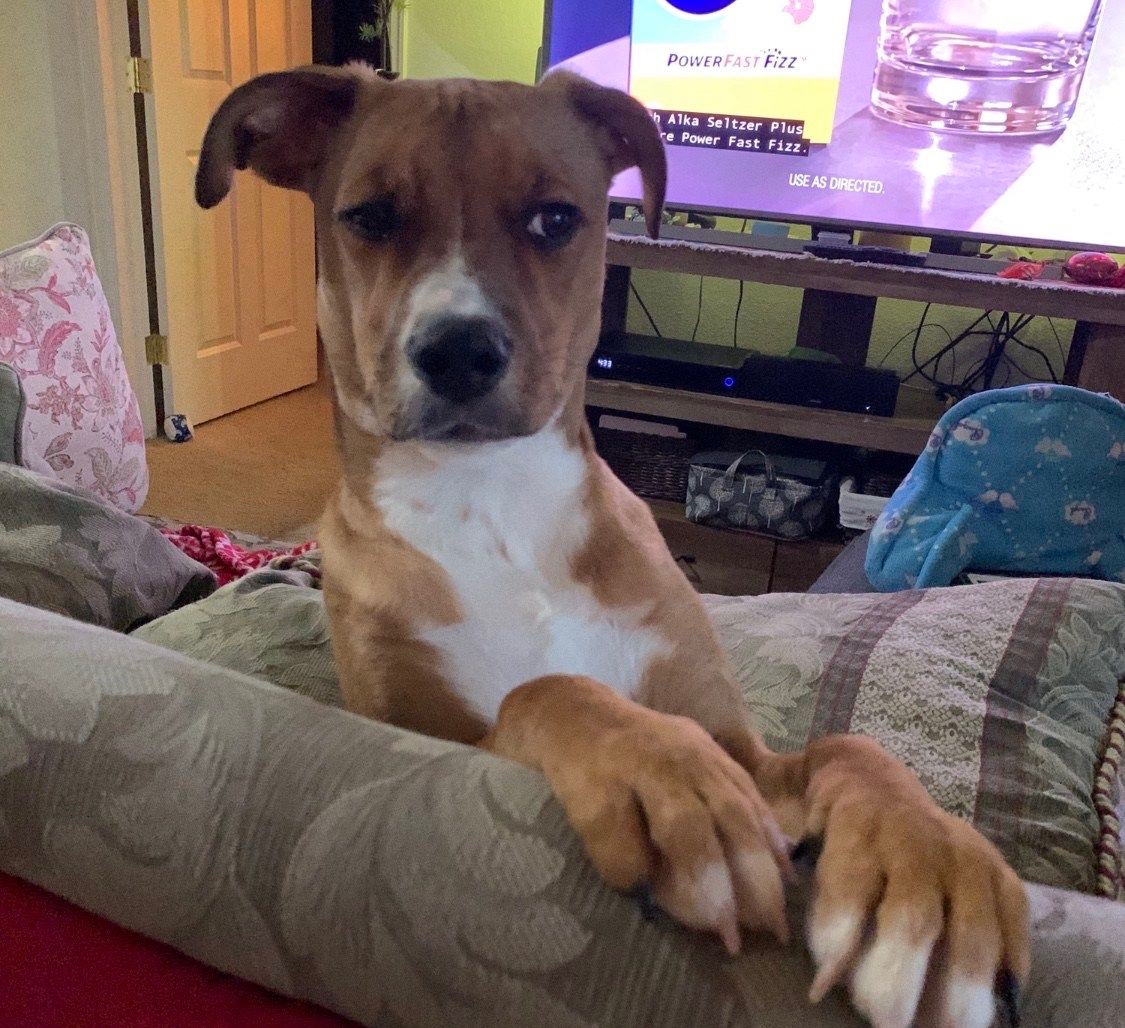 Ginger and the side eye