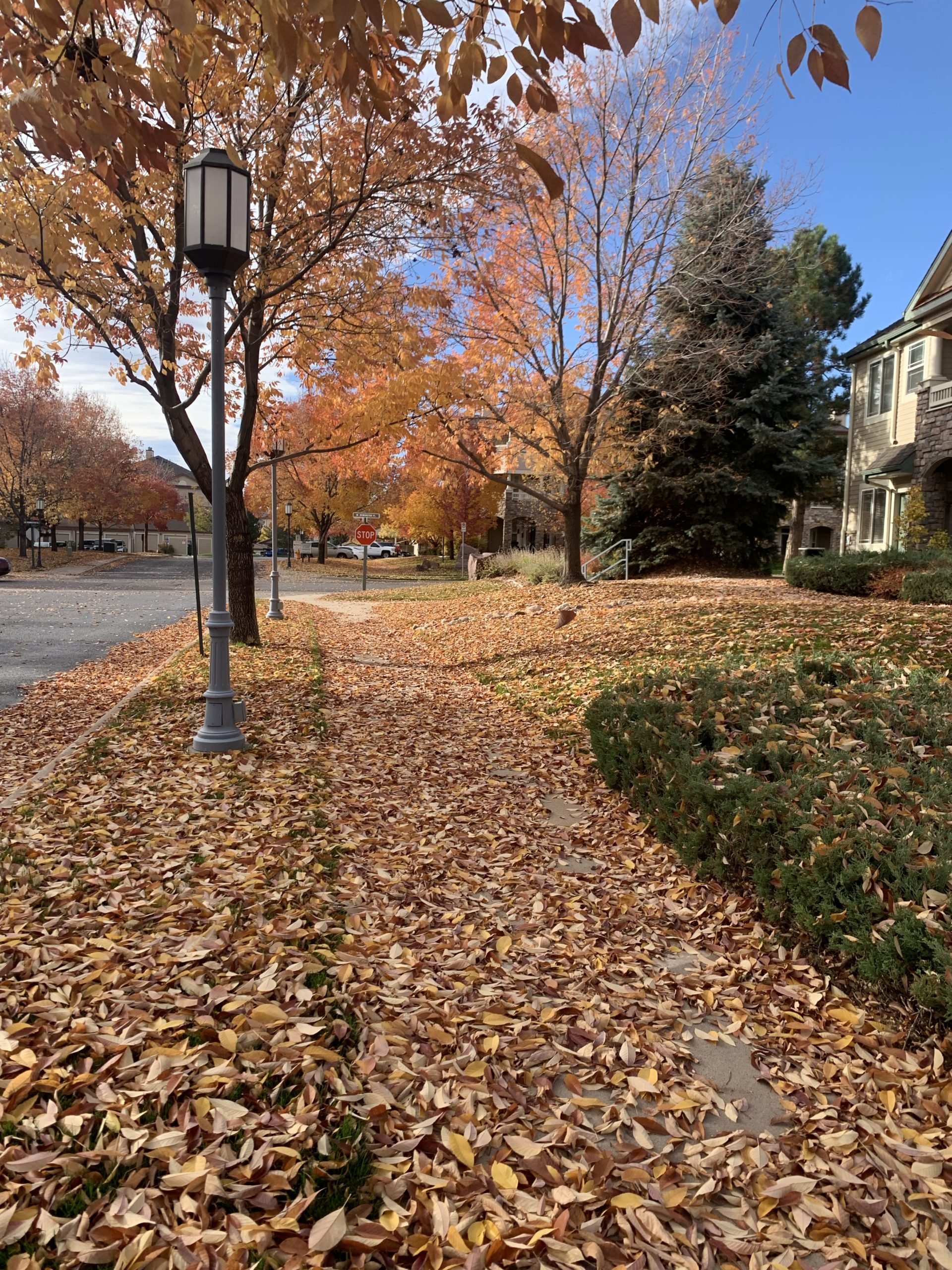 Autumn and the Last good day of the year 