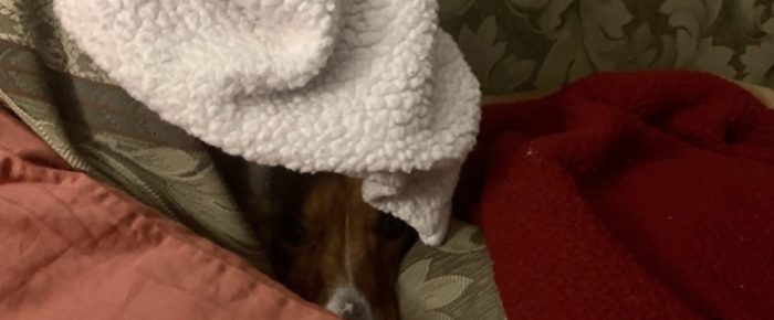 Let’s give ’em something to talk about